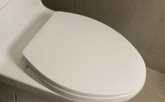 В типичном туалете RV для смыва используется около 1/2 галлона воды.